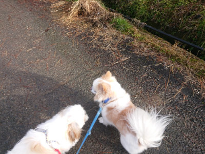 f:id:roukenhome-ann:20190123053709j:plain