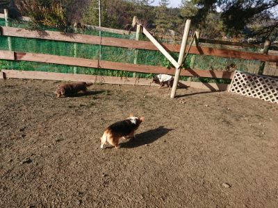 f:id:roukenhome-ann:20190123053728j:plain