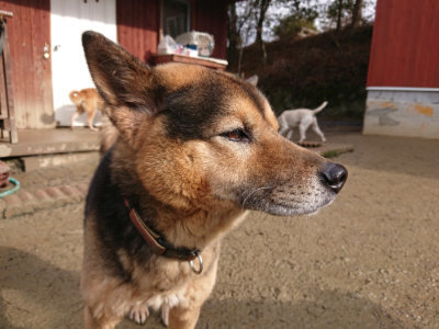 f:id:roukenhome-ann:20190123053820j:plain