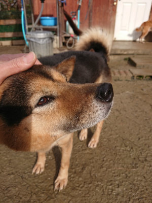 f:id:roukenhome-ann:20190123072447j:plain