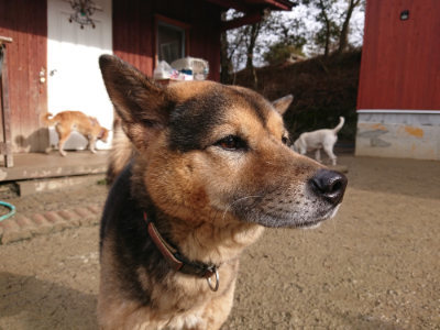 f:id:roukenhome-ann:20190123072457j:plain