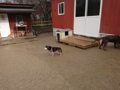f:id:roukenhome-ann:20190123072523j:plain
