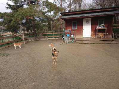 f:id:roukenhome-ann:20190123072603j:plain