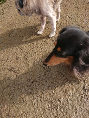 f:id:roukenhome-ann:20190123072608j:plain
