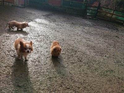 f:id:roukenhome-ann:20190123072628j:plain