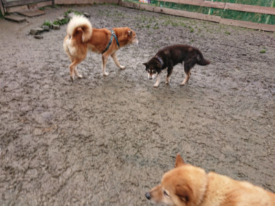 f:id:roukenhome-ann:20190123072639j:plain