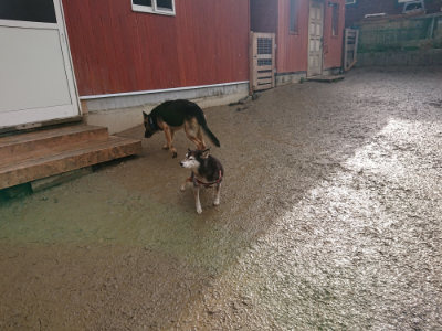 f:id:roukenhome-ann:20190123072649j:plain