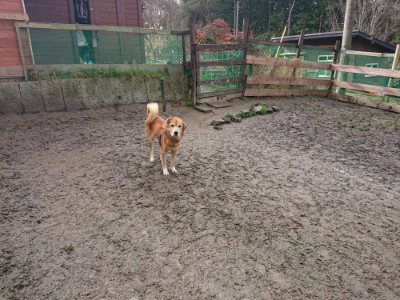 f:id:roukenhome-ann:20190123072700j:plain