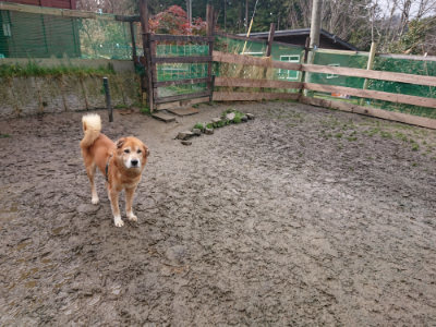 f:id:roukenhome-ann:20190123072718j:plain