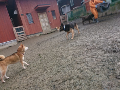 f:id:roukenhome-ann:20190124052948j:plain