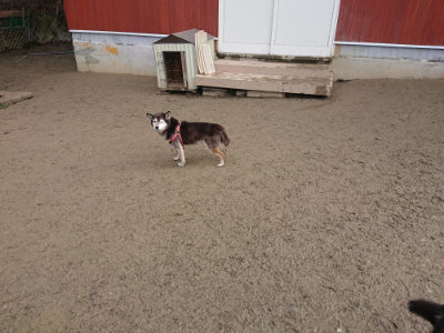 f:id:roukenhome-ann:20190124053003j:plain