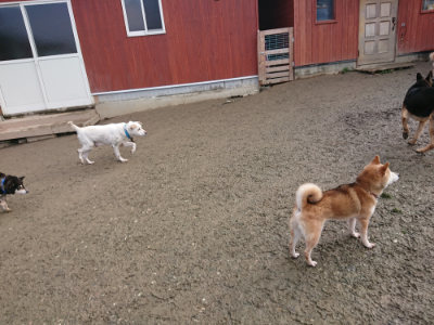 f:id:roukenhome-ann:20190124053040j:plain