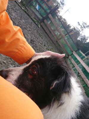 f:id:roukenhome-ann:20190124053117j:plain