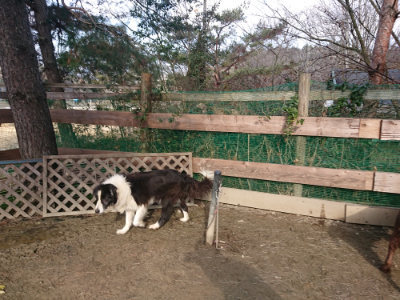 f:id:roukenhome-ann:20190124053236j:plain