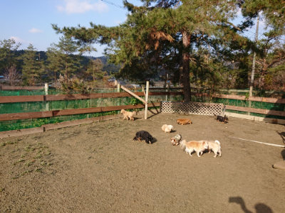 f:id:roukenhome-ann:20190124053339j:plain