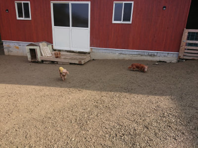 f:id:roukenhome-ann:20190124053344j:plain