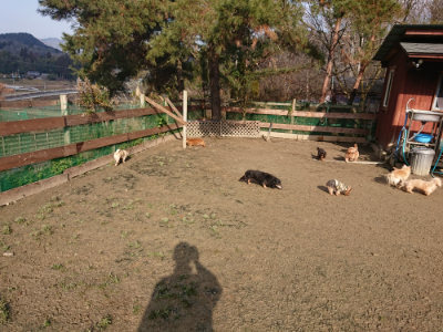 f:id:roukenhome-ann:20190124053350j:plain