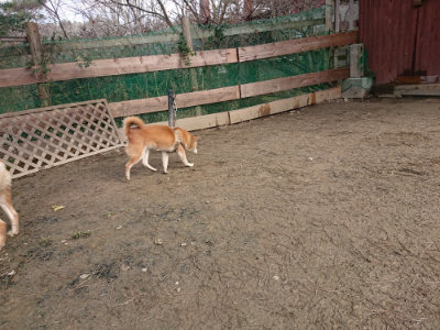 f:id:roukenhome-ann:20190124053401j:plain