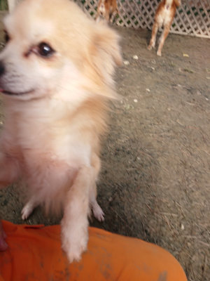 f:id:roukenhome-ann:20190124053459j:plain