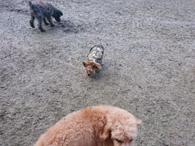 f:id:roukenhome-ann:20190124053511j:plain