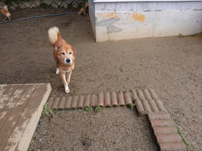 f:id:roukenhome-ann:20190124053551j:plain
