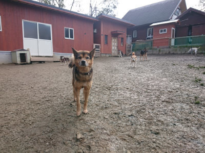 f:id:roukenhome-ann:20190124053555j:plain