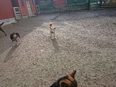 f:id:roukenhome-ann:20190124072317j:plain