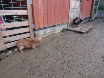 f:id:roukenhome-ann:20190124072334j:plain