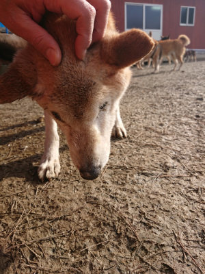 f:id:roukenhome-ann:20190124072345j:plain