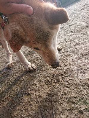 f:id:roukenhome-ann:20190124072420j:plain