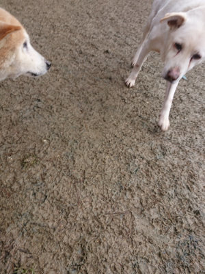 f:id:roukenhome-ann:20190124072519j:plain
