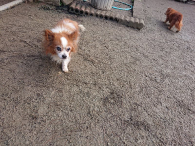 f:id:roukenhome-ann:20190124072714j:plain