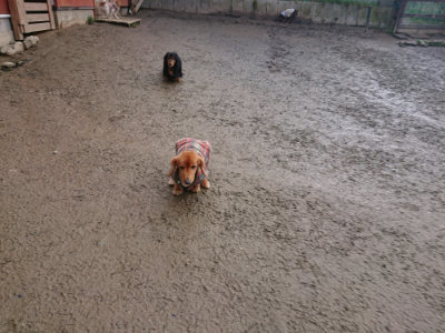f:id:roukenhome-ann:20190124072738j:plain
