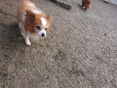 f:id:roukenhome-ann:20190124072744j:plain