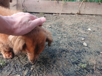 f:id:roukenhome-ann:20190124073552j:plain
