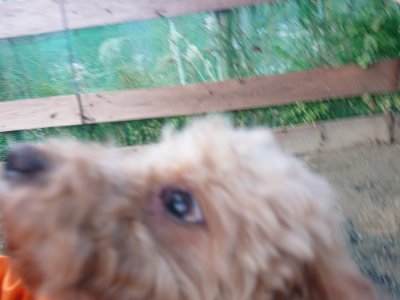f:id:roukenhome-ann:20190124073750j:plain