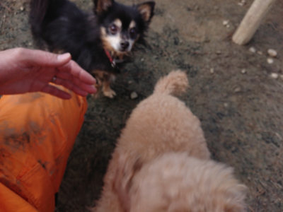 f:id:roukenhome-ann:20190124073754j:plain