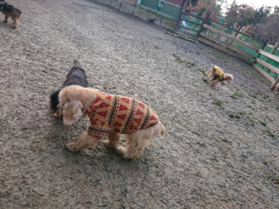 f:id:roukenhome-ann:20190124074320j:plain