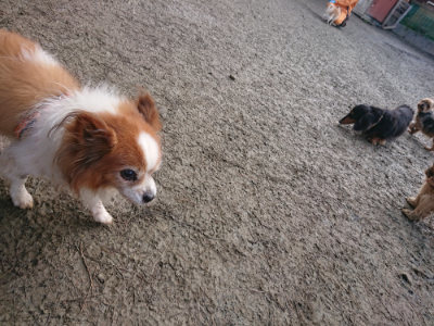 f:id:roukenhome-ann:20190124074406j:plain