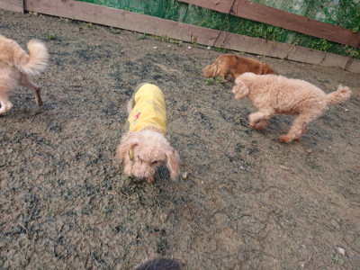 f:id:roukenhome-ann:20190124074432j:plain