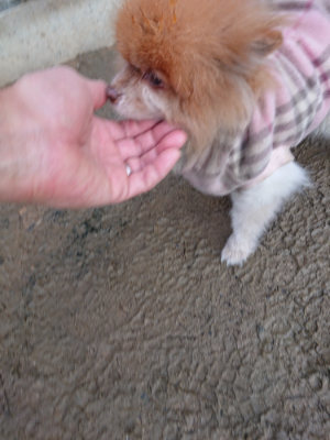 f:id:roukenhome-ann:20190124074447j:plain