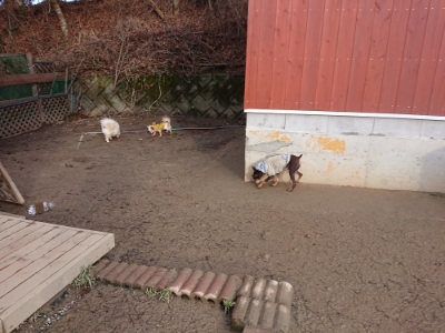 f:id:roukenhome-ann:20190124074852j:plain