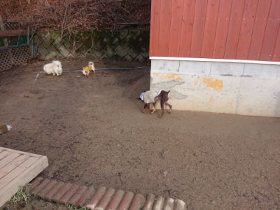 f:id:roukenhome-ann:20190124074858j:plain