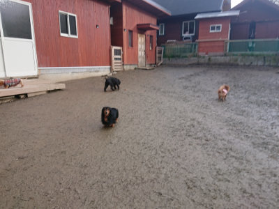 f:id:roukenhome-ann:20190124074914j:plain