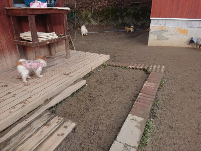 f:id:roukenhome-ann:20190124074935j:plain