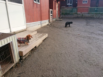 f:id:roukenhome-ann:20190124075024j:plain