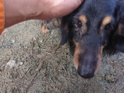 f:id:roukenhome-ann:20190124075034j:plain