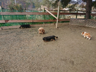 f:id:roukenhome-ann:20190124075102j:plain