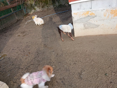 f:id:roukenhome-ann:20190124075113j:plain