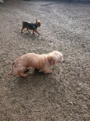 f:id:roukenhome-ann:20190124075151j:plain